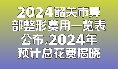 2024韶关市鼻部整形费用一览表公布，2024年预计总花费揭晓