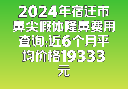 2024年宿迁市鼻尖假体隆鼻费用查询：近6个月平均价格19333元