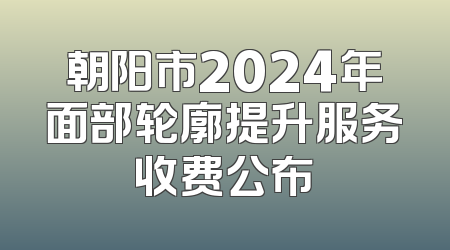 朝阳市2024年面部轮廓提升服务收费公布