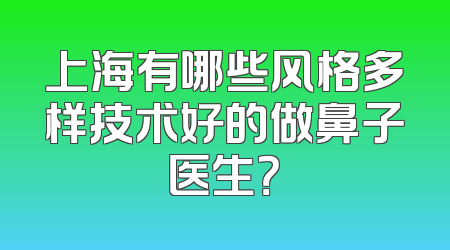 上海有哪些风格多样技术好的做鼻子医生？