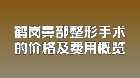 鹤岗鼻部整形手术的价格及费用概览