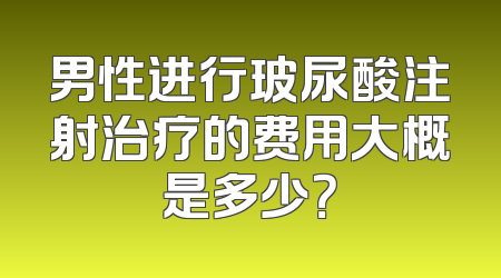 男性进行玻尿酸注射治疗的费用大概是多少？