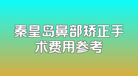 秦皇岛鼻部矫正手术费用参考