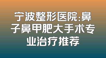 宁波整形医院：鼻子鼻甲肥大手术专业治疗推荐