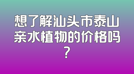 想了解汕头市泰山亲水植物的价格吗？