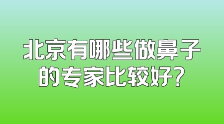 北京有哪些做鼻子的专家比较好？