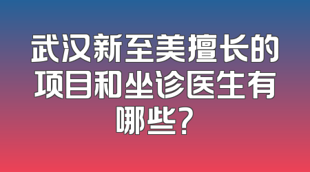 武汉新至美擅长的项目和坐诊医生有哪些？