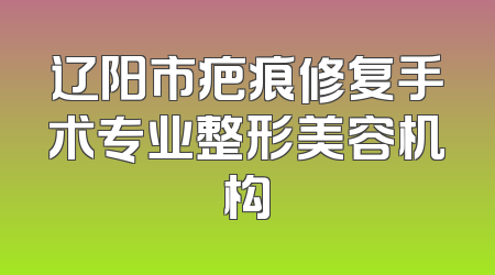 辽阳市疤痕修复手术专业整形美容机构