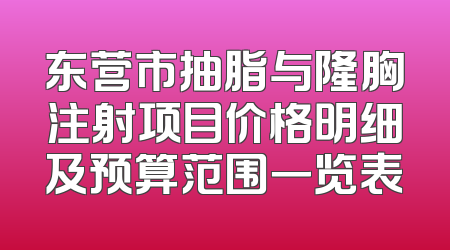东营市抽脂与隆胸注射项目价格明细及预算范围一览表