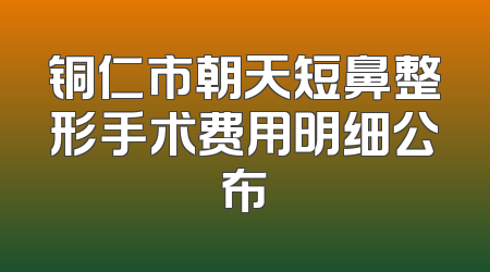 铜仁市朝天短鼻整形手术费用明细公布