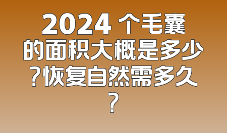 2024 个毛囊的面积大概是多少？恢复自然需多久？