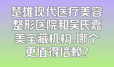 楚雄现代医疗美容整形医院和吴氏嘉美宝藏机构，哪个更值得信赖？