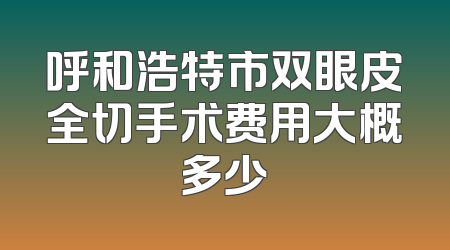呼和浩特市双眼皮全切手术费用大概多少
