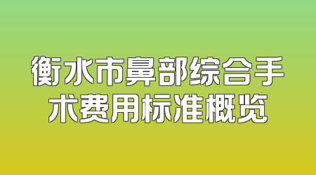 衡水市鼻部综合手术费用标准概览