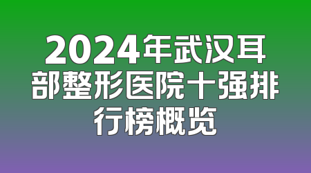 2024年武汉耳部整形医院十强排行榜概览