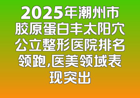 2025年潮州市胶原蛋白丰太阳穴公立整形医院排名领跑，医美领域表现突出