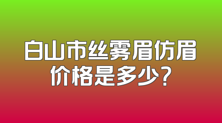 白山市丝雾眉仿眉价格是多少？