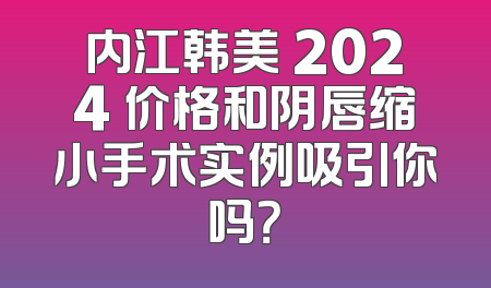 内江韩美 2024 价格和阴唇缩小手术实例吸引你吗？