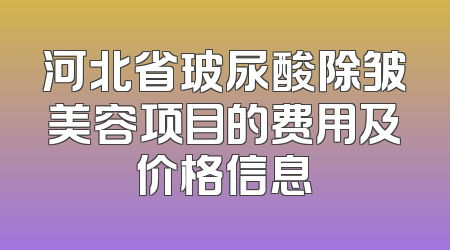 河北省玻尿酸除皱美容项目的费用及价格信息