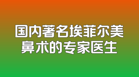 国内著名埃菲尔美鼻术的专家医生