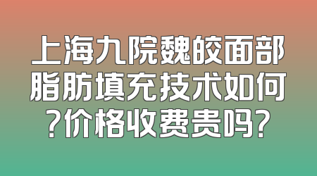 上海九院魏皎面部脂肪填充技术如何？价格收费贵吗？