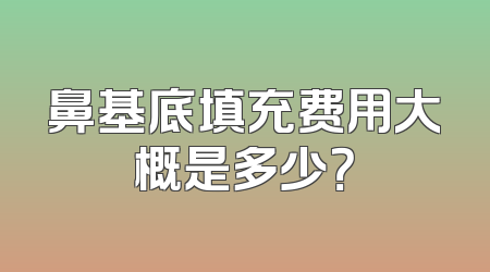 鼻基底填充费用大概是多少？