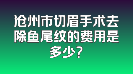 沧州市切眉手术去除鱼尾纹的费用是多少？
