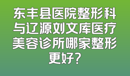 东丰县医院整形科与辽源刘文库医疗美容诊所哪家整形更好？