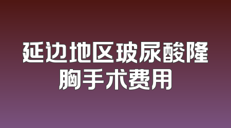 延边地区玻尿酸隆胸手术费用