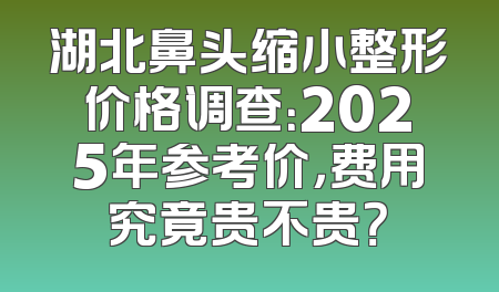 湖北鼻头缩小整形价格调查：2025年参考价，费用究竟贵不贵？