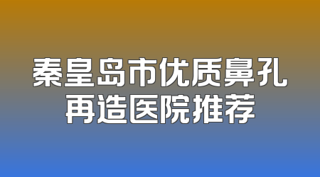 秦皇岛市优质鼻孔再造医院推荐