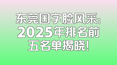 东莞国字脸风采：2025年排名前五名单揭晓！