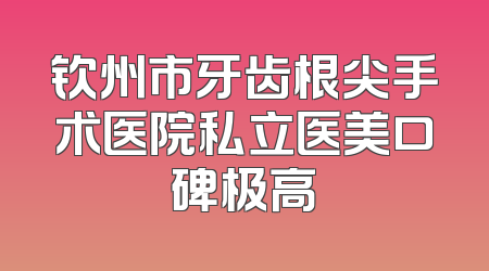钦州市牙齿根尖手术医院私立医美口碑极高