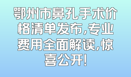 鄂州市鼻孔手术价格清单发布，专业费用全面解读，惊喜公开！