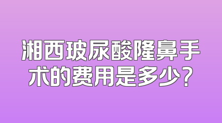湘西玻尿酸隆鼻手术的费用是多少？