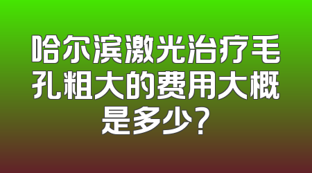 哈尔滨激光治疗毛孔粗大的费用大概是多少？