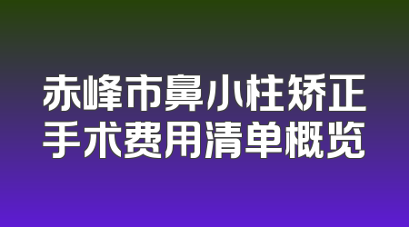 赤峰市鼻小柱矫正手术费用清单概览