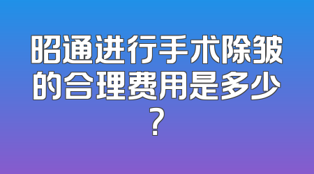 昭通进行手术除皱的合理费用是多少？