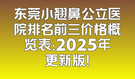 东莞小翘鼻公立医院排名前三价格概览表：2025年更新版！