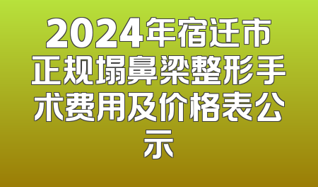 2024年宿迁市正规塌鼻梁整形手术费用及价格表公示