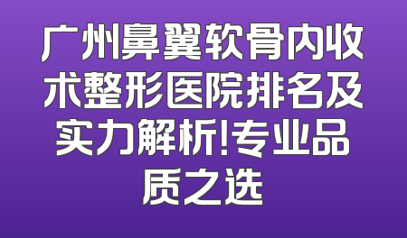 广州鼻翼软骨内收术整形医院排名及实力解析！专业品质之选