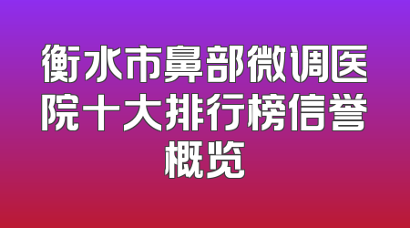 衡水市鼻部微调医院十大排行榜信誉概览
