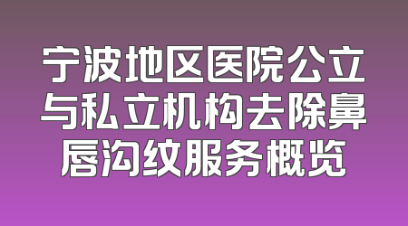 宁波地区医院公立与私立机构去除鼻唇沟纹服务概览