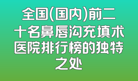 全国（国内）前二十名鼻唇沟充填术医院排行榜的独特之处