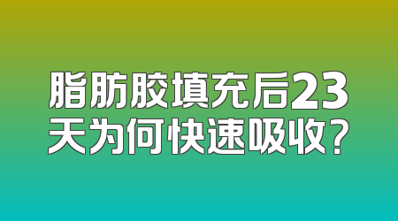 脂肪胶填充后23天为何快速吸收？