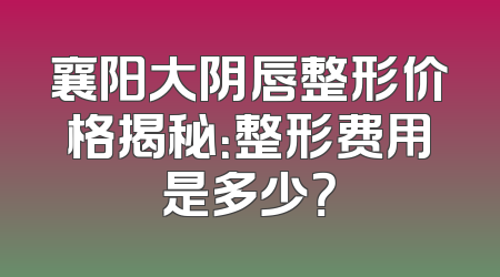 襄阳大阴唇整形价格揭秘：整形费用是多少？
