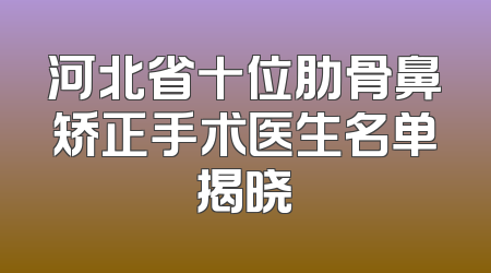 河北省十位肋骨鼻矫正手术医生名单揭晓