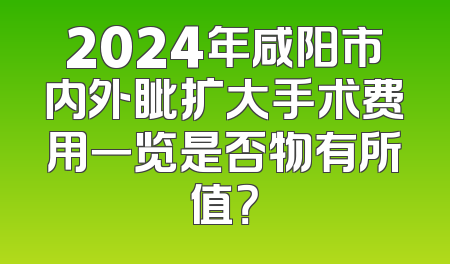 2024年咸阳市内外眦扩大手术费用一览是否物有所值？
