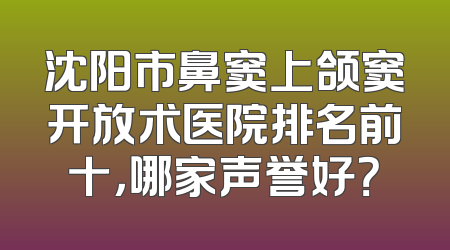 沈阳市鼻窦上颌窦开放术医院排名前十，哪家声誉好？