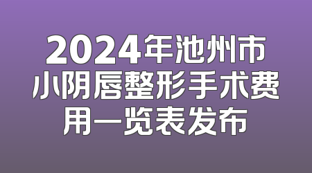 2024年池州市小阴唇整形手术费用一览表发布